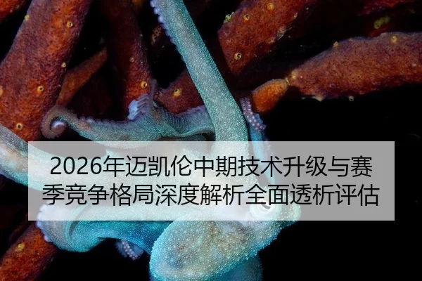 nian-mai-kai-lun-zhong-qi-ji-shu-sheng-ji-yu-sai-ji-jing-zheng-ge-ju-shen-du-jie-xi-quan-mian-tou-xi-ping-gu-2-281.jpg